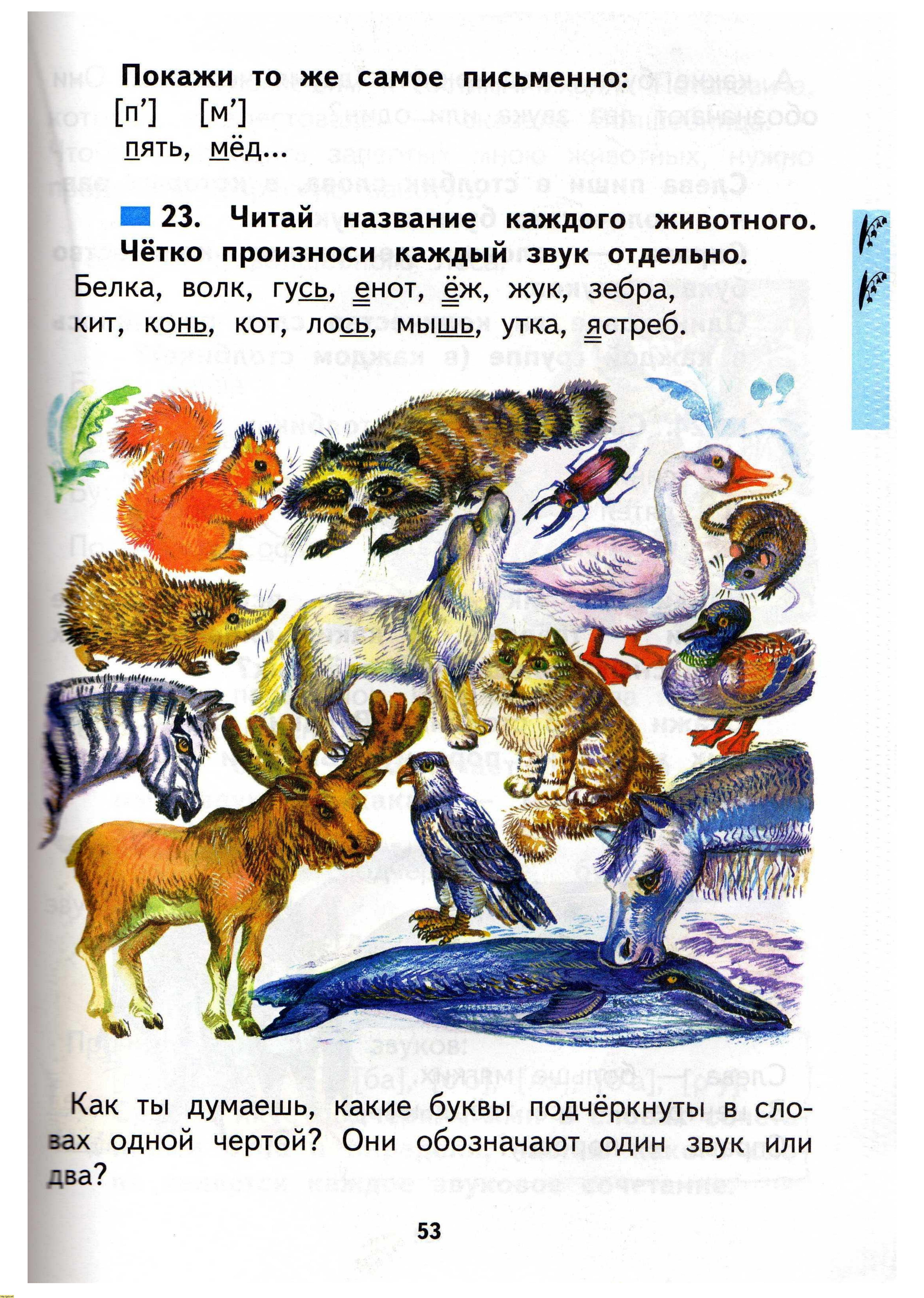 Н.А. Чуракова 2010г, страница 55